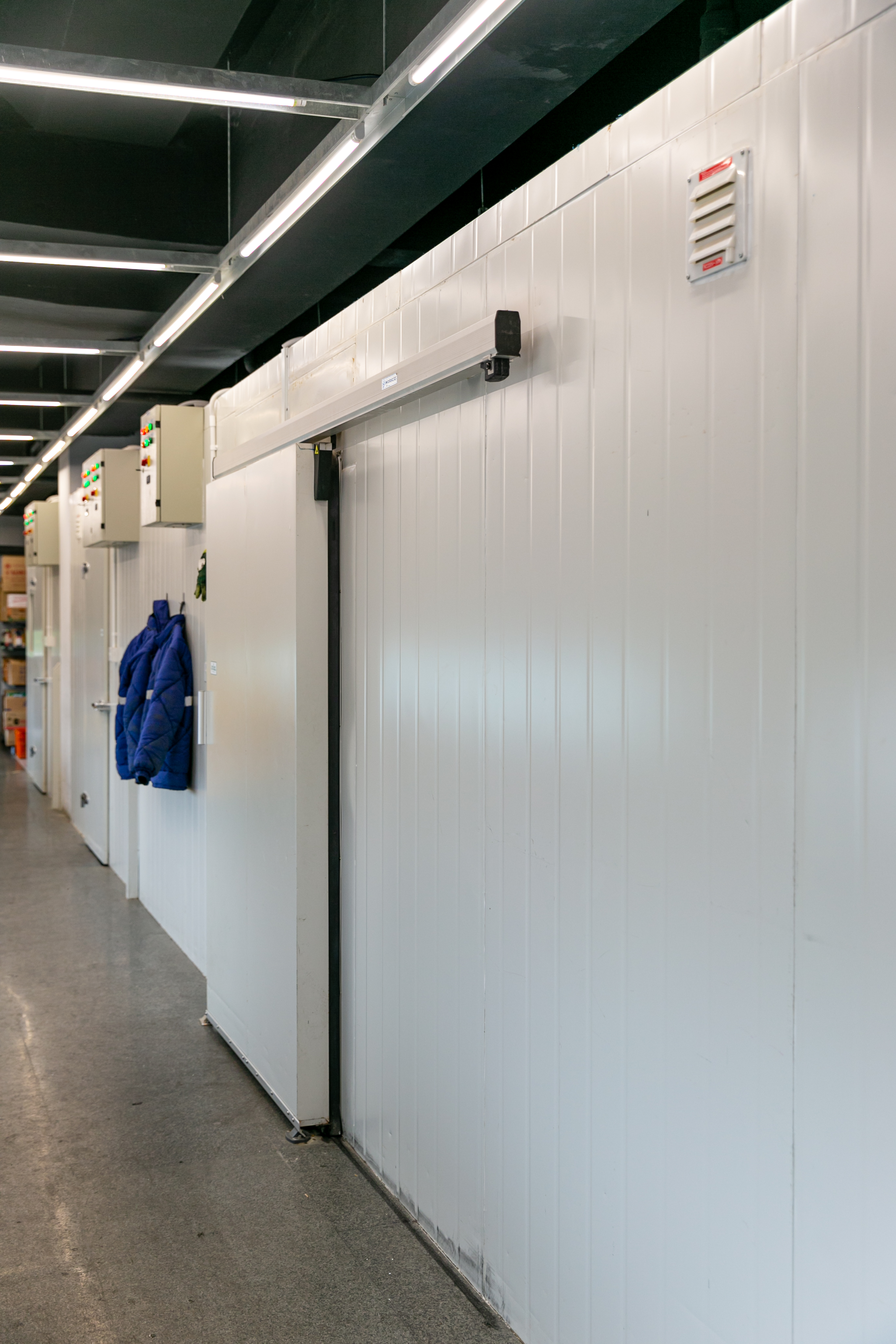 Cold Storage